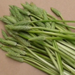 L’asperge et la Mara des Bois