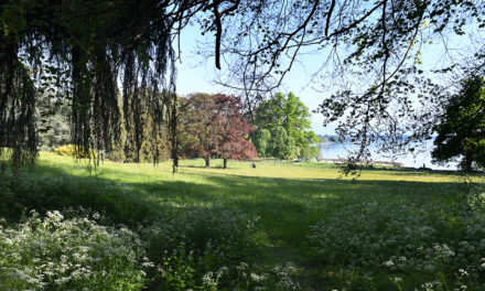 Genève de parc en parc