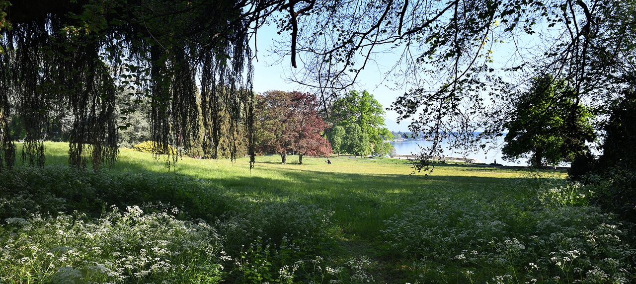 Genève de parc en parc