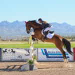 Apprendre à monter à cheval à Genève